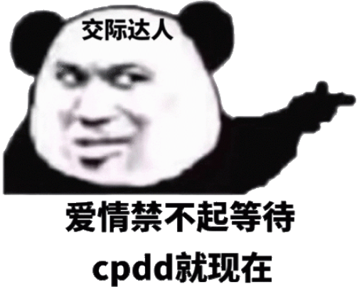 cpddʲô˼