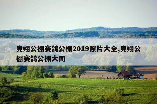 蹫빫2019Ƭȫ,蹫빫ͬ